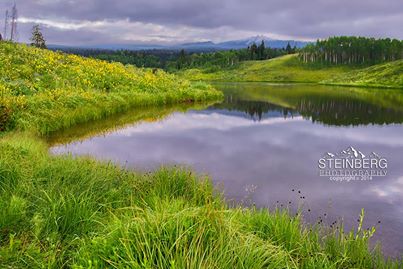 Springtime In Steamboat Photography Workshop