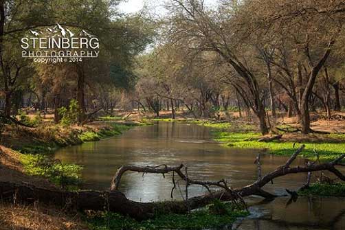 River Channel in Lower Zambezi National Park in Zambia