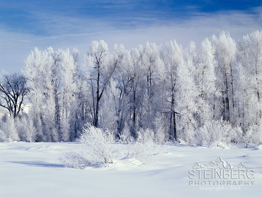 Capturing the Season — Winter Landscape Photography Best Practices