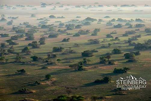 The vast Busanga Plains of Kafue National Park