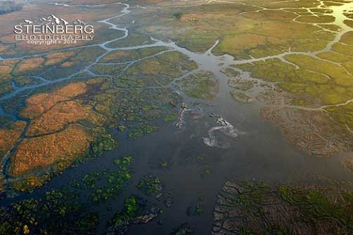 The Busanga Plains dominate the northern portion Kafue National Park