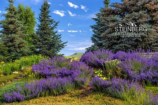 Peaceful Garden at Yampa River Botanic Park