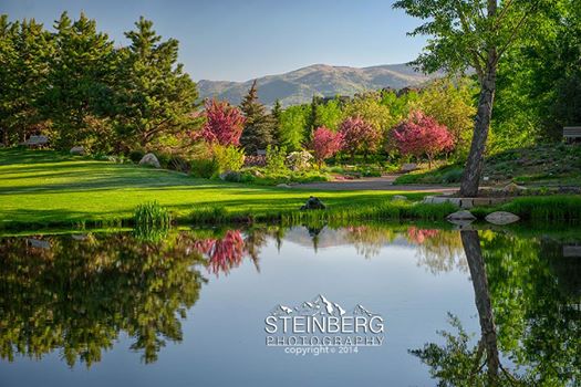 Spring in Yampa River Botanic Park