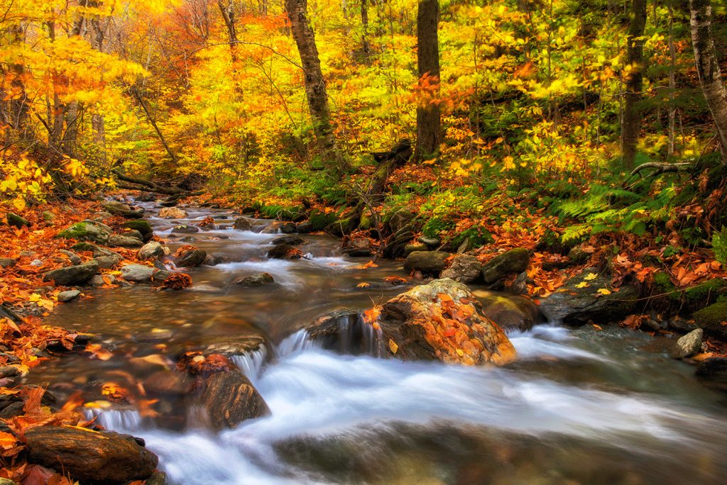 Brewster River Fall – Lamoille County, Vermont | Steinberg Photography