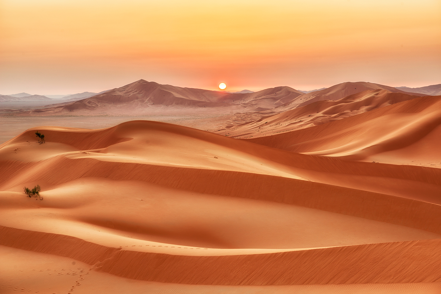 Sunrise Rub Al Khali The Empty Quarter Oman Steinberg Photography